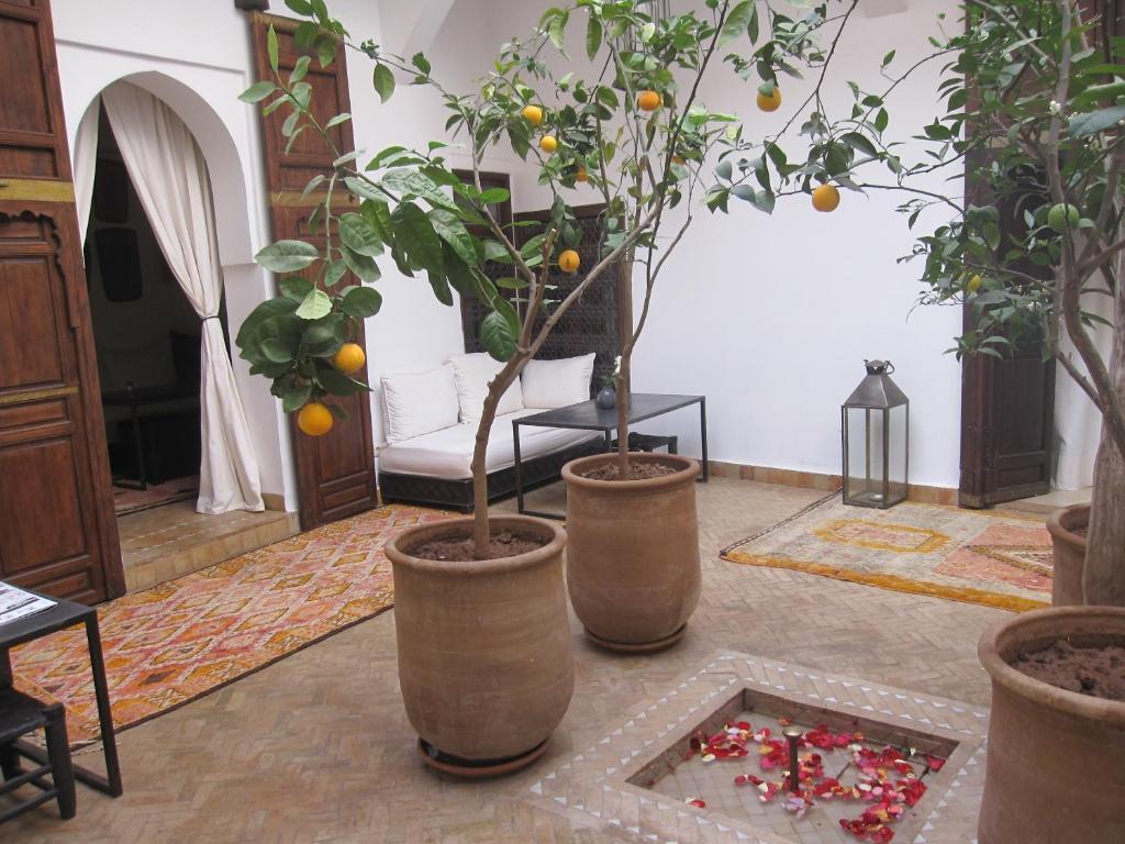Riad Azza Marrakesh Ngoại thất bức ảnh